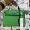 IMG_9177 Hermes Birkin