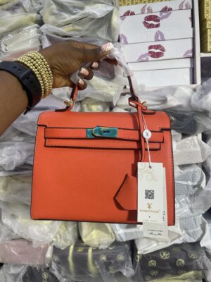 IMG_9178 Hermes Birkin
