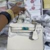 IMG_9184 Hermes Birkin
