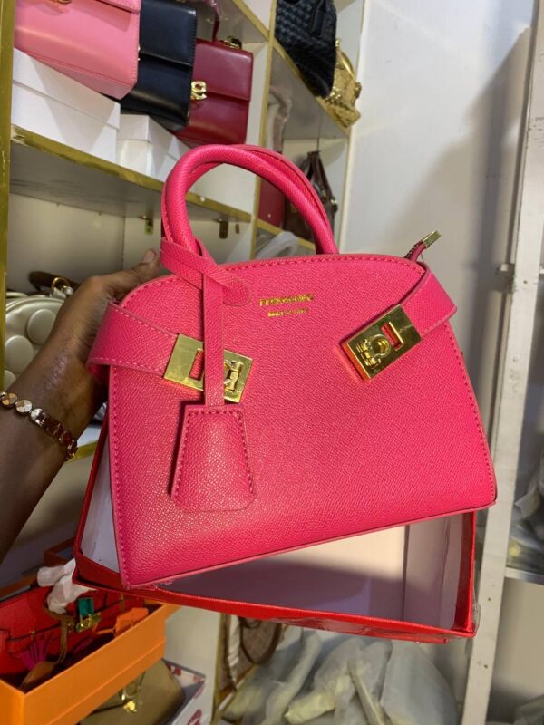 IMG_9451 Feragama boxed bag