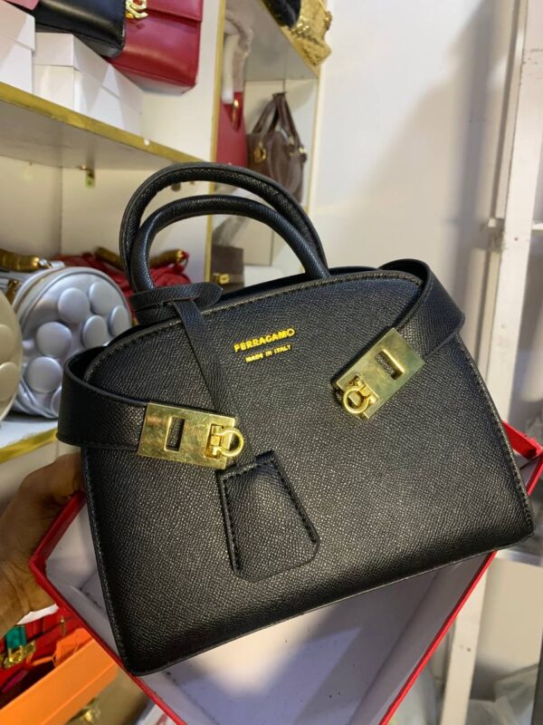 IMG_9452 Feragama boxed bag