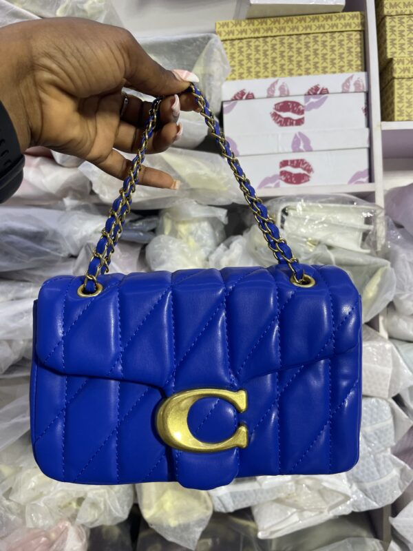 Coach chain bag
