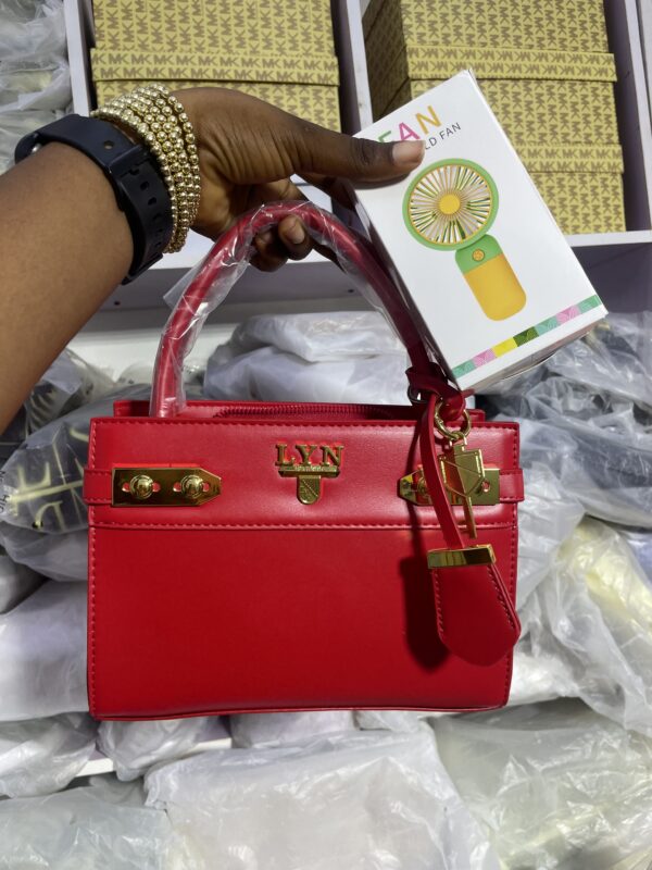 LYN Fan bag