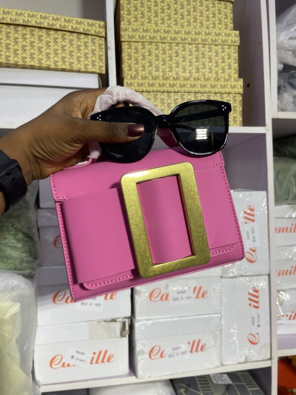 Buckle bag with sunshade